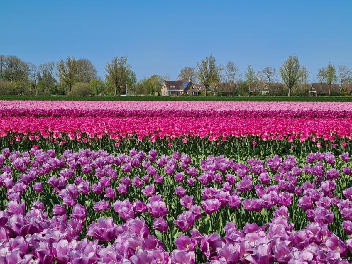 De Wielen 58 ซินท์ มาร์เท็น ภายนอก รูปภาพ
